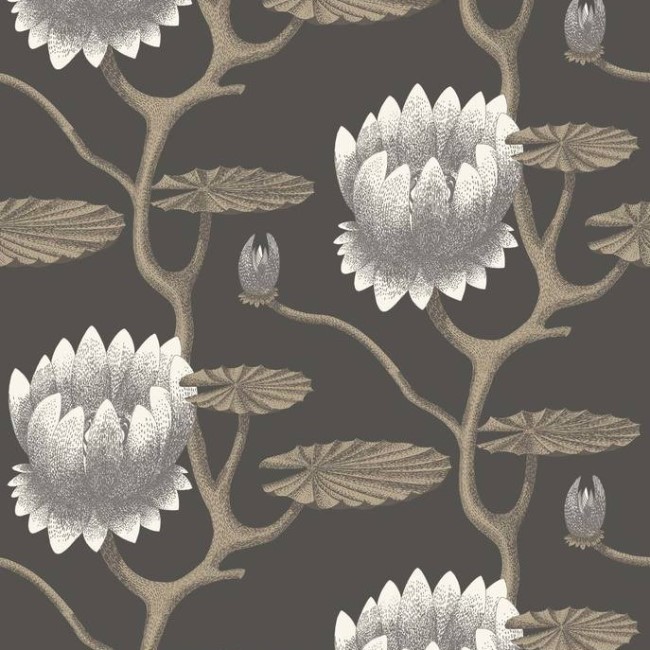  Cole&Son Contemporary Restyled 95/4026 -  1