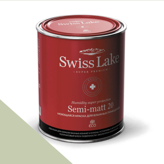  Swiss Lake  Semi-matt 20 9 . splash of lime sl-2691