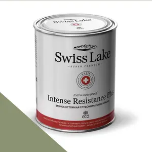 Фото Краски Swiss Lake Intense Resistance Plus Extra Wearproof 0,9 л. absinthe dreams sl-2688 - 1 Краски Swiss Lake Intense Resistance Plus Extra Wearproof 0,9 л. absinthe dreams sl-2688 - фото 1