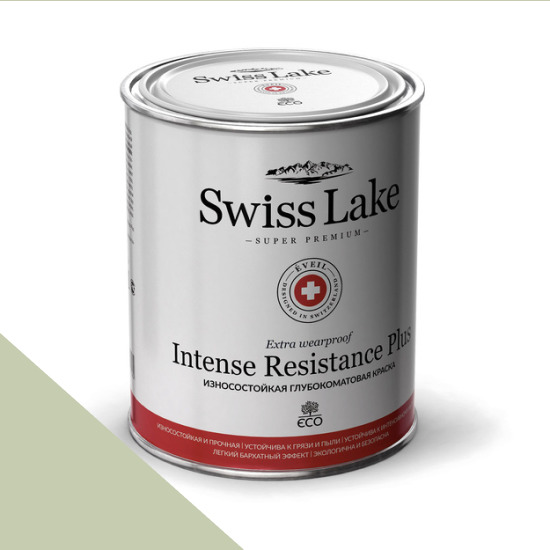  Swiss Lake  Intense Resistance Plus Extra Wearproof 0,9 . splash of lime sl-2691