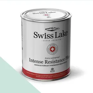 Фото Краски Swiss Lake Intense Resistance Plus Extra Wearproof 0,9 л. flowering cactus sl-2378 - 1 Краски Swiss Lake Intense Resistance Plus Extra Wearproof 0,9 л. flowering cactus sl-2378 - фото 1