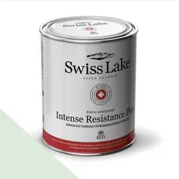 Swiss Lake Intense Resistance Plus Extra Wearproof 0,9 л. olive leaf sl-2439 Swiss Lake Intense Resistance Plus Extra Wearproof 0,9 л. olive leaf sl-2439
