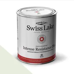 Swiss Lake Intense Resistance Plus Extra Wearproof 0,9 л. iced mint sl-2452 Swiss Lake Intense Resistance Plus Extra Wearproof 0,9 л. iced mint sl-2452