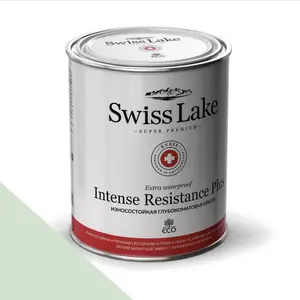 Фото Краски Swiss Lake Intense Resistance Plus Extra Wearproof 2,7 л. shimmering lime sl-2470 - 1 Краски Swiss Lake Intense Resistance Plus Extra Wearproof 2,7 л. shimmering lime sl-2470 - фото 1