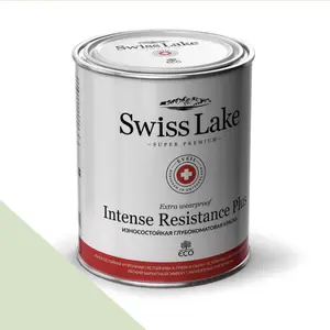 Фото Краски Swiss Lake Intense Resistance Plus Extra Wearproof 2,7 л. fresh approach sl-2481 - 1 Краски Swiss Lake Intense Resistance Plus Extra Wearproof 2,7 л. fresh approach sl-2481 - фото 1
