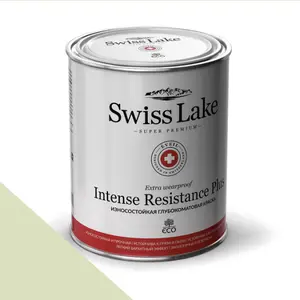Фото Краски Swiss Lake Intense Resistance Plus Extra Wearproof 2,7 л. plain and simple sl-2589 - 1 Краски Swiss Lake Intense Resistance Plus Extra Wearproof 2,7 л. plain and simple sl-2589 - фото 1