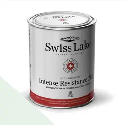 Swiss Lake Intense Resistance Plus Extra Wearproof 2,7 л. leisure green sl-2448 Swiss Lake Intense Resistance Plus Extra Wearproof 2,7 л. leisure green sl-2448