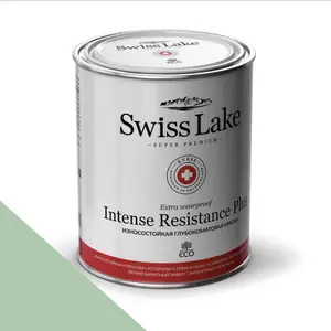 Фото Краски Swiss Lake Intense Resistance Plus Extra Wearproof 9 л. freshwater green sl-2489 - 1 Краски Swiss Lake Intense Resistance Plus Extra Wearproof 9 л. freshwater green sl-2489 - фото 1