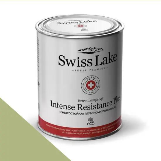 Фото Краски Swiss Lake Intense Resistance Plus Extra Wearproof 9 л. mineral green sl-2535 - 1 Краски Swiss Lake Intense Resistance Plus Extra Wearproof 9 л. mineral green sl-2535 - фото 1