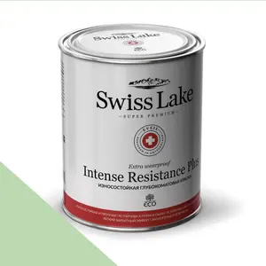 Фото Краски Swiss Lake Intense Resistance Plus Extra Wearproof 9 л. minty freshness sl-2484 - 1 Краски Swiss Lake Intense Resistance Plus Extra Wearproof 9 л. minty freshness sl-2484 - фото 1
