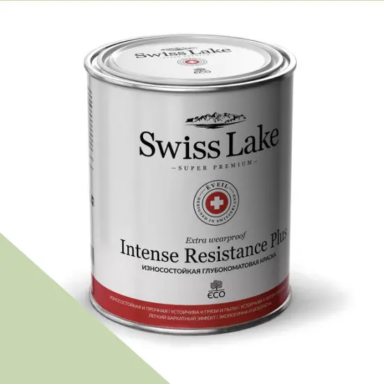 Фото Краски Swiss Lake Intense Resistance Plus Extra Wearproof 9 л. lint sl-2527 - 1 Краски Swiss Lake Intense Resistance Plus Extra Wearproof 9 л. lint sl-2527 - фото 1