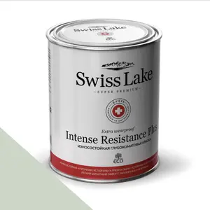 Фото Краски Swiss Lake Intense Resistance Plus Extra Wearproof 9 л. clean khaki sl-2459 - 1 Краски Swiss Lake Intense Resistance Plus Extra Wearproof 9 л. clean khaki sl-2459 - фото 1