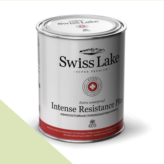  Swiss Lake  Intense Resistance Plus Extra Wearproof 9 . gecko sl-2524