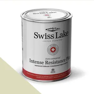 Фото Краски Swiss Lake Intense Resistance Plus Extra Wearproof 9 л. hip hop sl-2587 - 1 Краски Swiss Lake Intense Resistance Plus Extra Wearproof 9 л. hip hop sl-2587 - фото 1