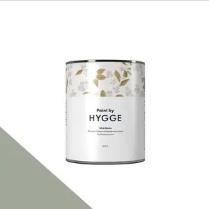 Фото Краски HYGGE Paint Silverbloom 0,9 л. №155 PALE GREEN AGATE - 1 Краски HYGGE Paint Silverbloom 0,9 л. №155 PALE GREEN AGATE - фото 1