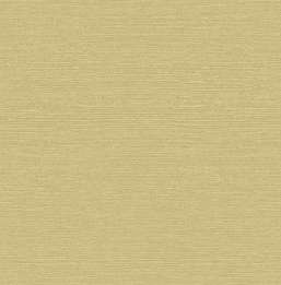 Обои 1838 Aurora 1804-122-06 Raffia Mustard Обои 1838 Aurora 1804-122-06 Raffia Mustard