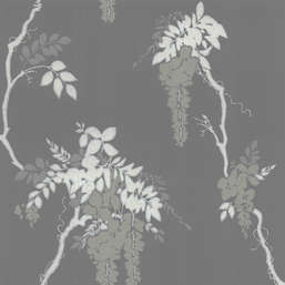 Обои 1838 Camellia 1703-109-05 Leonora Grey Обои 1838 Camellia 1703-109-05 Leonora Grey