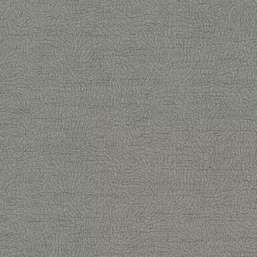 Обои Alessandro Allori Breeze RDT2210-5 Обои Alessandro Allori Breeze RDT2210-5