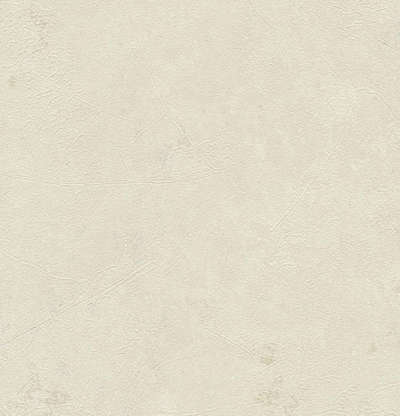 Shinhan Wallcoverings Classico 88069-2