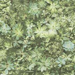 Обои Aura Evergreen 7320 Обои Aura Evergreen 7320