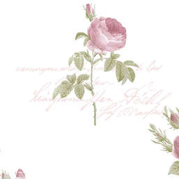 Обои Aura Rose Garden CG28820 Обои Aura Rose Garden CG28820