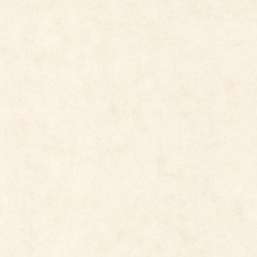 Обои Caselio Beton 101480010 Обои Caselio Beton 101480010
