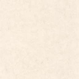 Обои Caselio Beton 101481258 Обои Caselio Beton 101481258