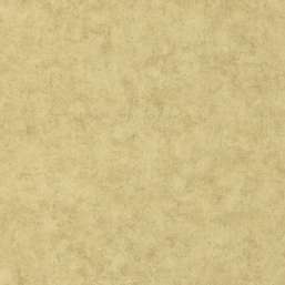 Обои Caselio Beton 101487893 Обои Caselio Beton 101487893