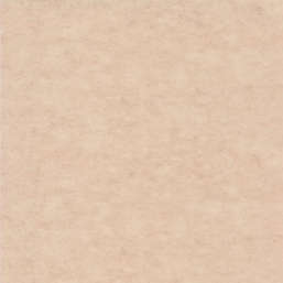 Обои Caselio Beton 2 101482551 Обои Caselio Beton 2 101482551