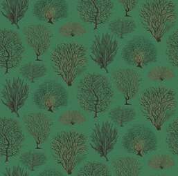 Обои Cole&Son Curio 107/2007 Обои Cole&Son Curio 107/2007