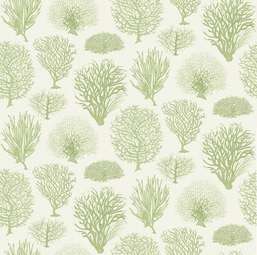 Обои Cole&Son Curio 107/2008 Обои Cole&Son Curio 107/2008