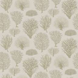 Обои Cole&Son Curio 107/2010 Обои Cole&Son Curio 107/2010