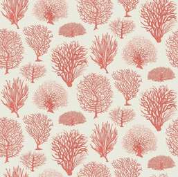 Обои Cole&Son Curio 107/2011 Обои Cole&Son Curio 107/2011