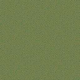 Обои Cole&Son Curio 107/4022 Обои Cole&Son Curio 107/4022