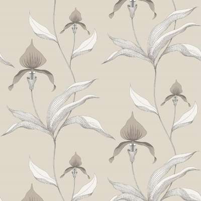  Cole&Son Contemporary Restyled 95/10058
