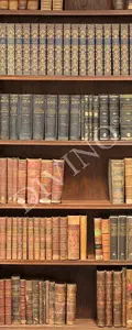 Фото Рулонные шторы Divino Абстракция, Принты MRB-0103-3-47 - 1 Рулонные шторы Divino Абстракция, Принты MRB-0103-3-47 - фото 1
