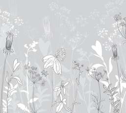 Фотообои Divino Ботаника F-121 Фотообои Divino Ботаника F-121