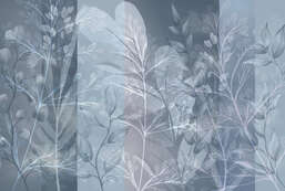 Фотообои Divino Ботаника F-275 Фотообои Divino Ботаника F-275