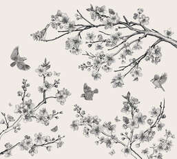 Фотообои Divino Ботаника F-351 Фотообои Divino Ботаника F-351