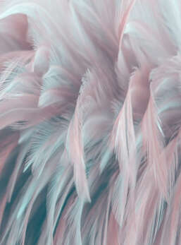 Фотообои Divino Ботаника F-451-1 Фотообои Divino Ботаника F-451-1