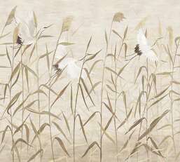 Фотообои Divino Ботаника F-453 Фотообои Divino Ботаника F-453