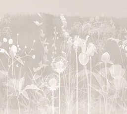 Фотообои Divino Ботаника F-458-1 Фотообои Divino Ботаника F-458-1