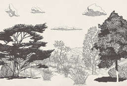 Фотообои Divino Ботаника Z-027 Фотообои Divino Ботаника Z-027