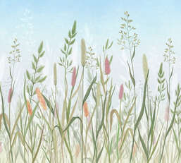 Фотообои Divino Ботаника Z-030 Фотообои Divino Ботаника Z-030