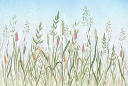 Фотообои Divino Ботаника Z-031 Фотообои Divino Ботаника Z-031