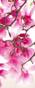 Фото Рулонные шторы Divino Цветы MRB-0215-3-47 - 1 Рулонные шторы Divino Цветы MRB-0215-3-47 - фото 1