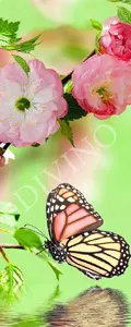 Фото Рулонные шторы Divino Цветы MRB-0227-3-47 - 1 Рулонные шторы Divino Цветы MRB-0227-3-47 - фото 1