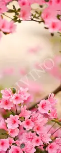 Фото Рулонные шторы Divino Цветы MRB-0228-3-47 - 1 Рулонные шторы Divino Цветы MRB-0228-3-47 - фото 1