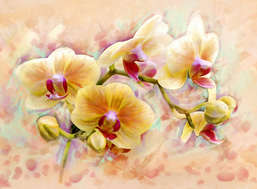 Фотообои Divino Decor 1.47*2 C1-300 Фотообои Divino Decor 1.47*2 C1-300