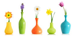 Фотообои Divino Decor 1.47*3 D2-028 Фотообои Divino Decor 1.47*3 D2-028